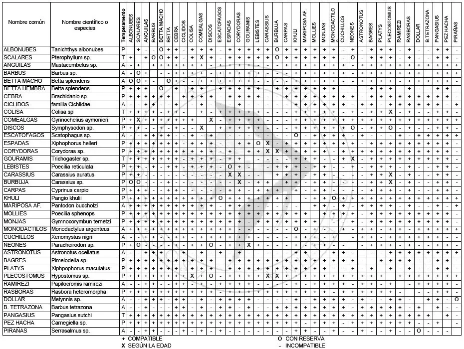 Table of compatibility among freshwater tropical fish