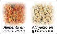 Dry food in flakes and granules